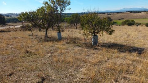 Foto 5 de Finca rústica en venta en Brunete, Madrid
