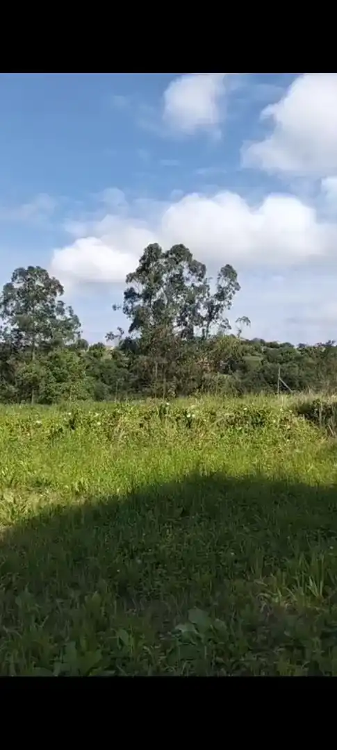 Finca rústica en venta en Valdáliga