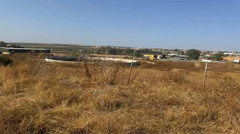 Foto 4 de Residencial en venta en Sitio el Rozon, -1, Huévar del Aljarafe, Sevilla