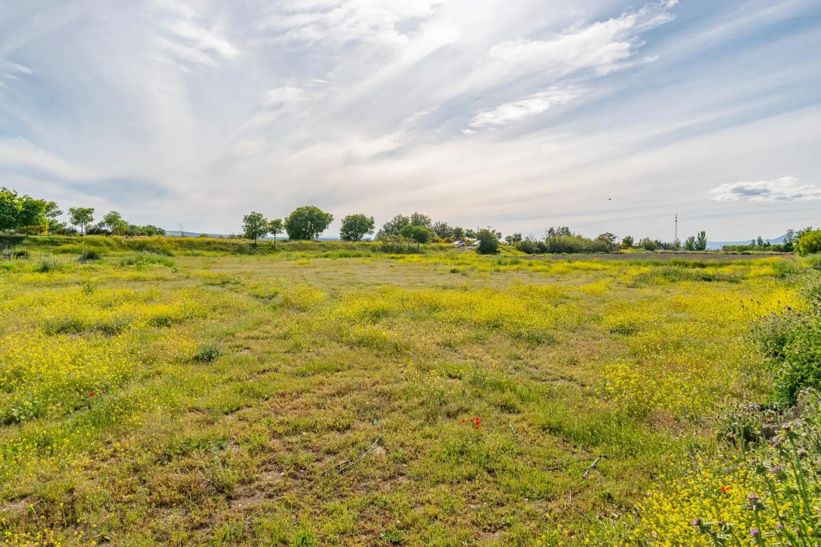 Lands and plots for sale in Polígono 9 Parcela 307 MARACHAT. GRANADA (GRANADA, imagen 29