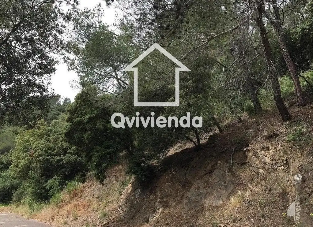 Terreny rústic en venda a LLICORELLA (DE LA), imagen 5