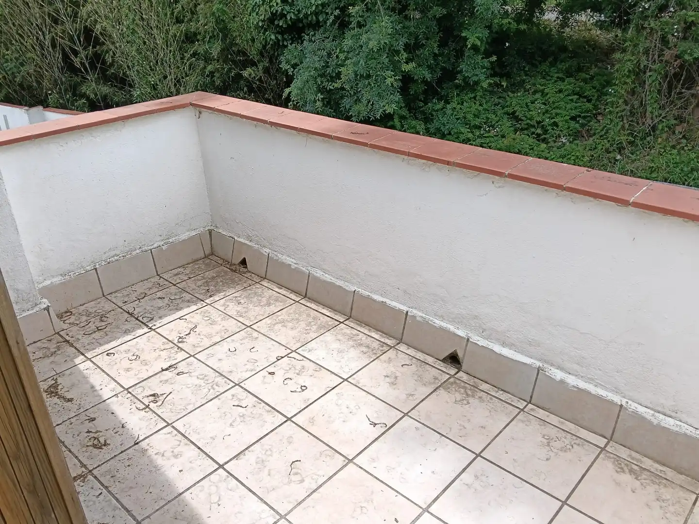 Terrassa de Casa o xalet en venda en Empuriabrava amb Aire condicionat, Calefacció i Jardí privat