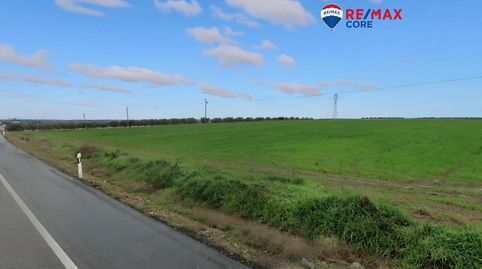 Foto 3 de Terreno en venta en Este, Mérida