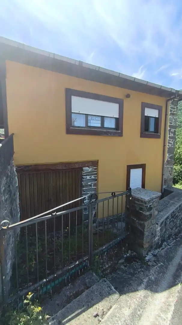Vista exterior de Casa o xalet en venda en Degaña amb Traster