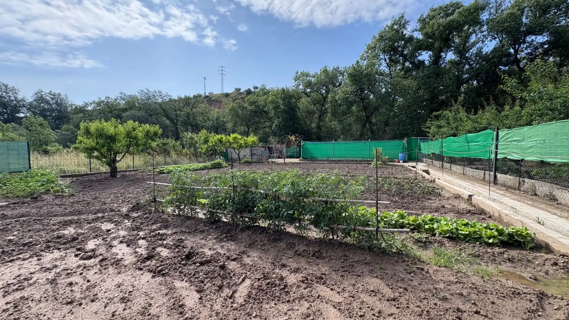 Finca rústica en venta en Arnedo