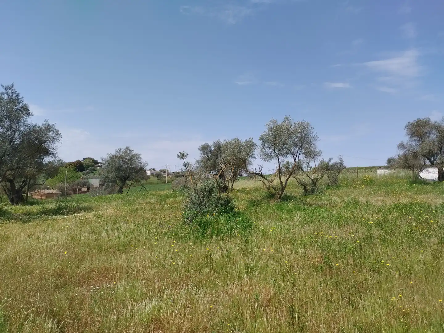 Terreno en venta en Oliva de la Frontera