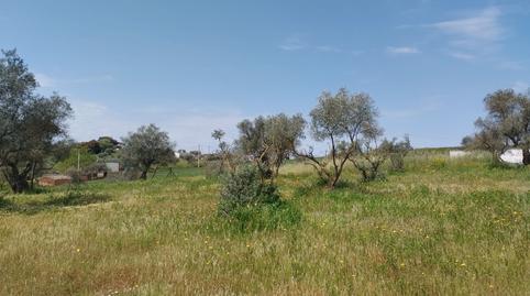 Photo 5 of Land for sale in Oliva de la Frontera, Badajoz
