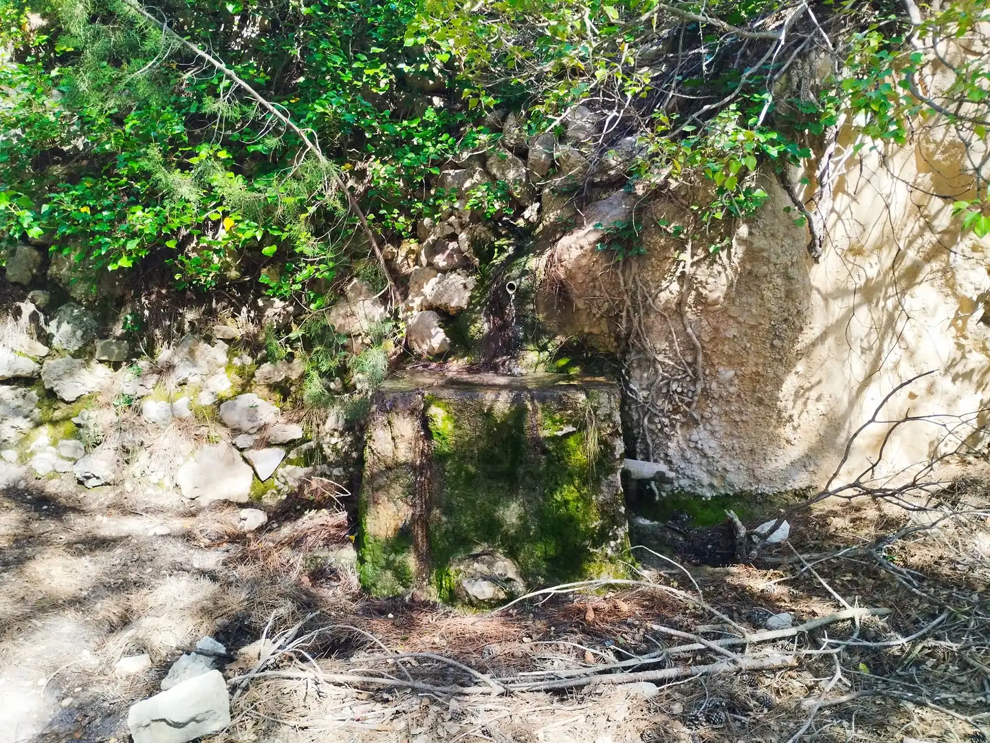Exterior view of Land for sale in La Morera de Montsant