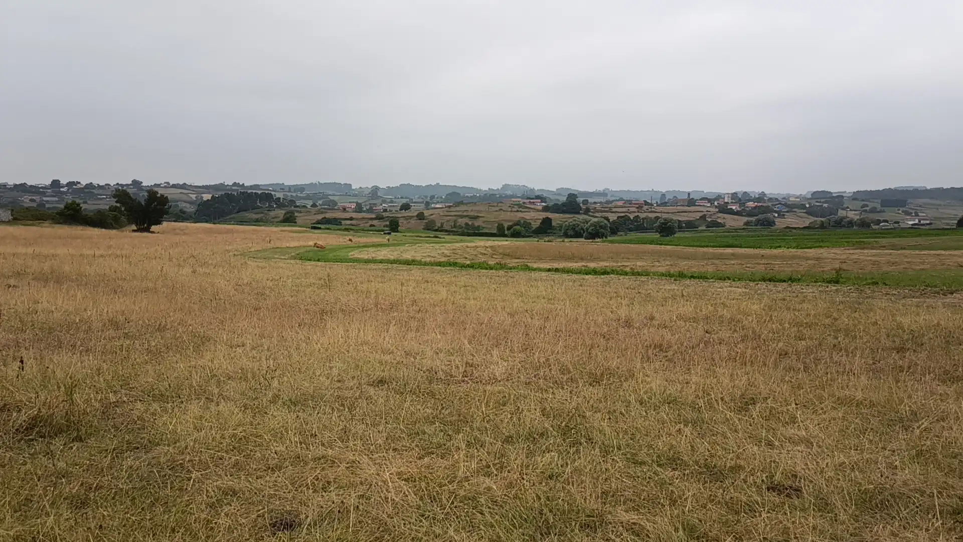 Terreno residencial en venta en GO-6, imagen 10