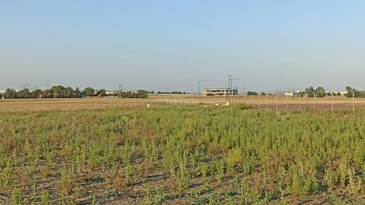Rural land for sale in Ronda de Castilla Oeste 133, imagen 7