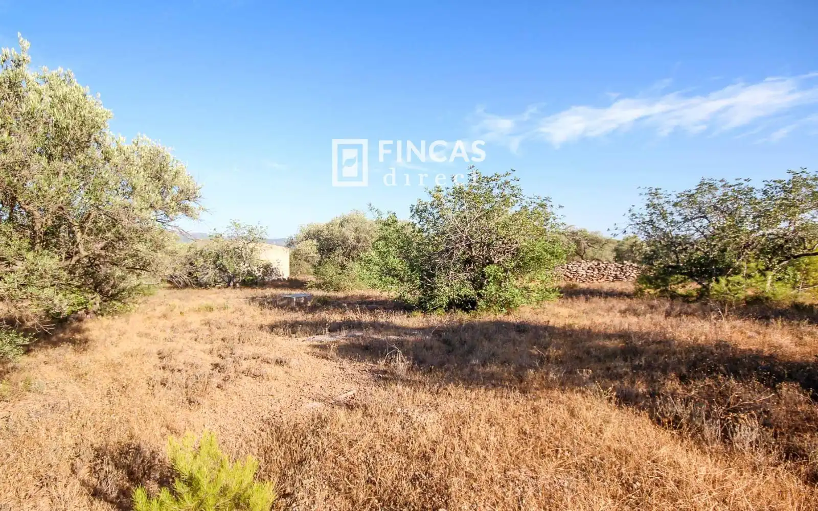 Country homes for sale in Xerta