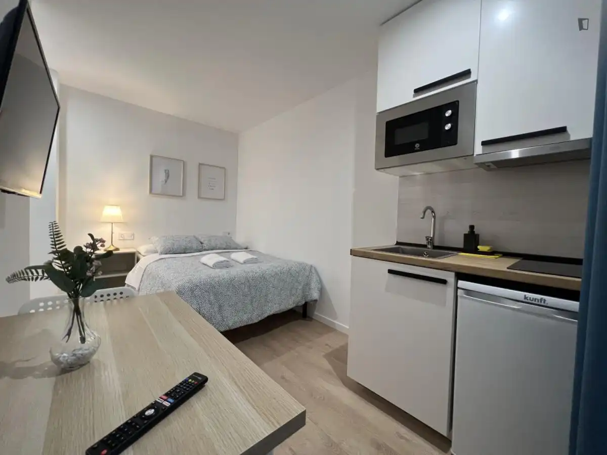 Studio mit Aufzug zur Miete in Centro, imagen 6