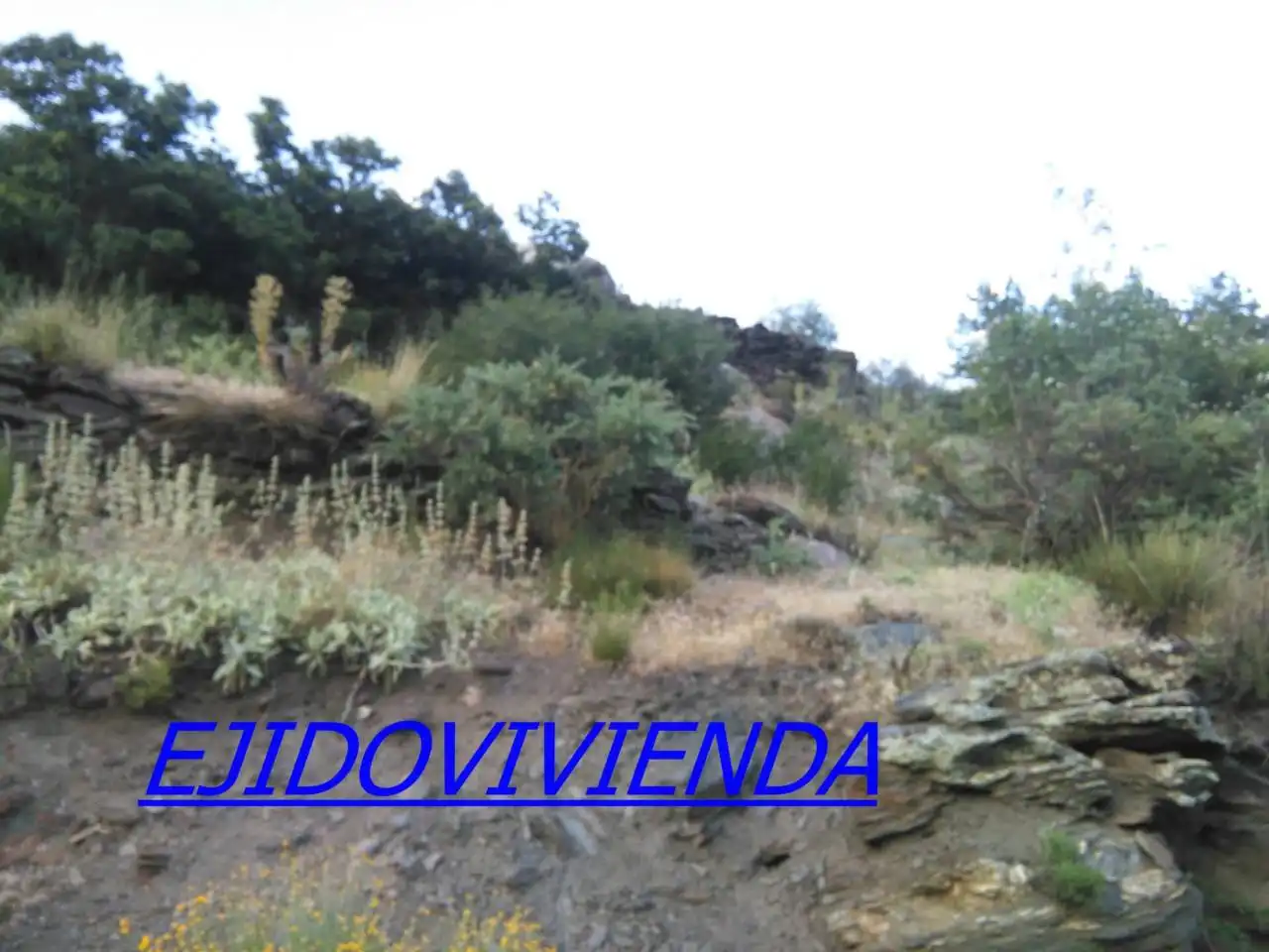 Terreni e lotti in vendita a Nevada, imagen 6