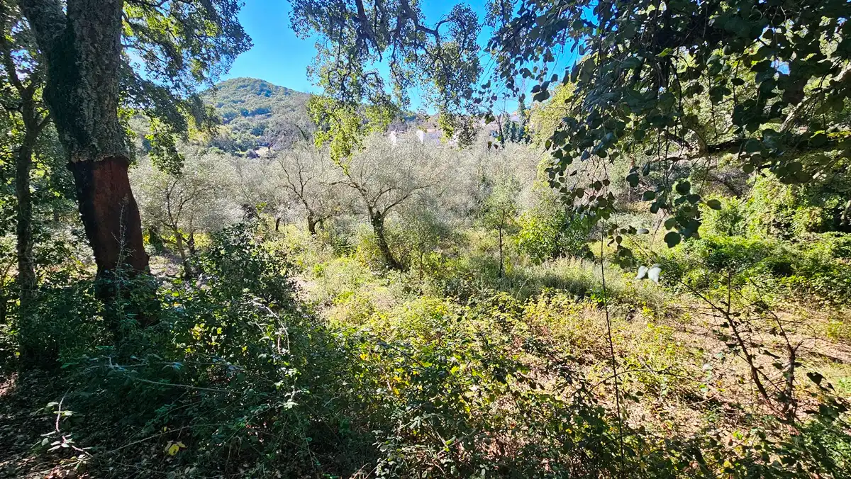 Residencial en venta en Santa Ana la Real