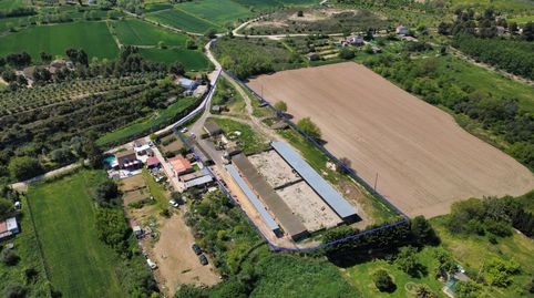 Foto 5 von Fabrikhallen zum Verkauf in Arbeca, Lleida
