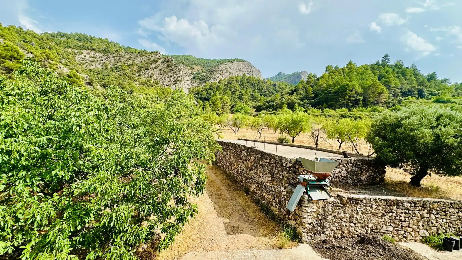 Rural land for sale in Horta de Sant Joan, imagen 13