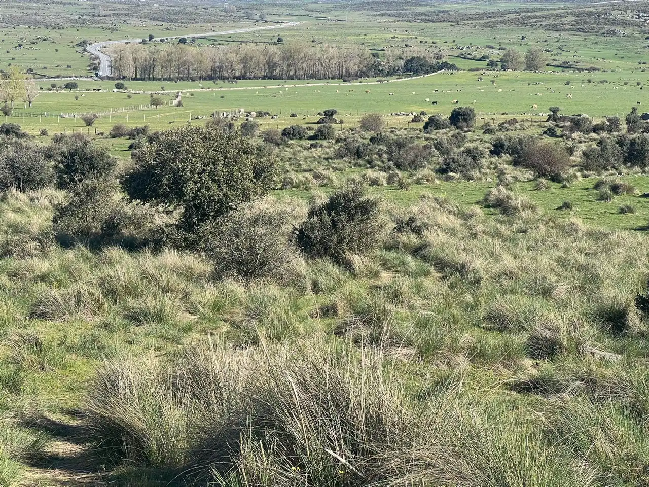 Terreni e lotti in vendita a Tornadizos de Ávila, imagen 20