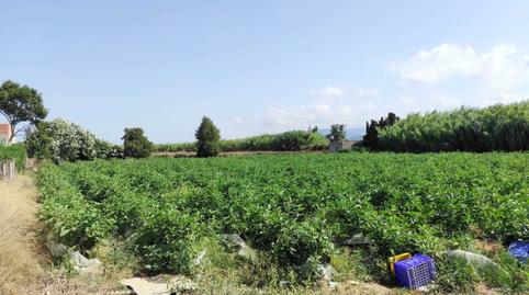 Photo 2 of Residential for sale in El Marenyet, Cullera