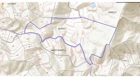 Foto 2 de Terreny en venda a Carretera Camposines, Ascó, Tarragona