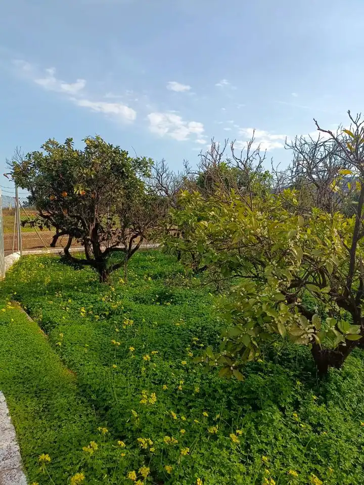 Casa o chalet en venta en Benicull de Xúquer con Jardín privado, Terraza y Piscina