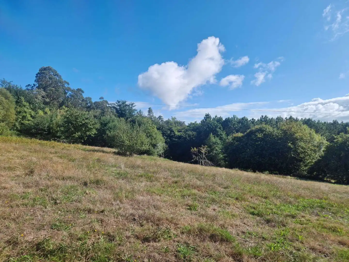 Lands and plots for sale in Brión, imagen 3