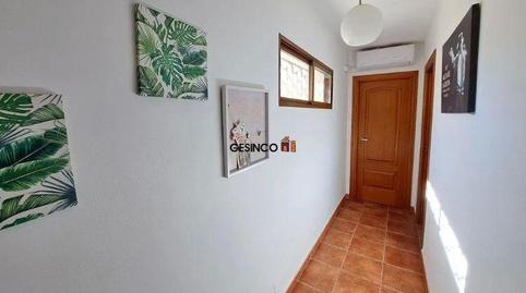 Foto 4 de Finca rústica en venda a Canals, Valencia