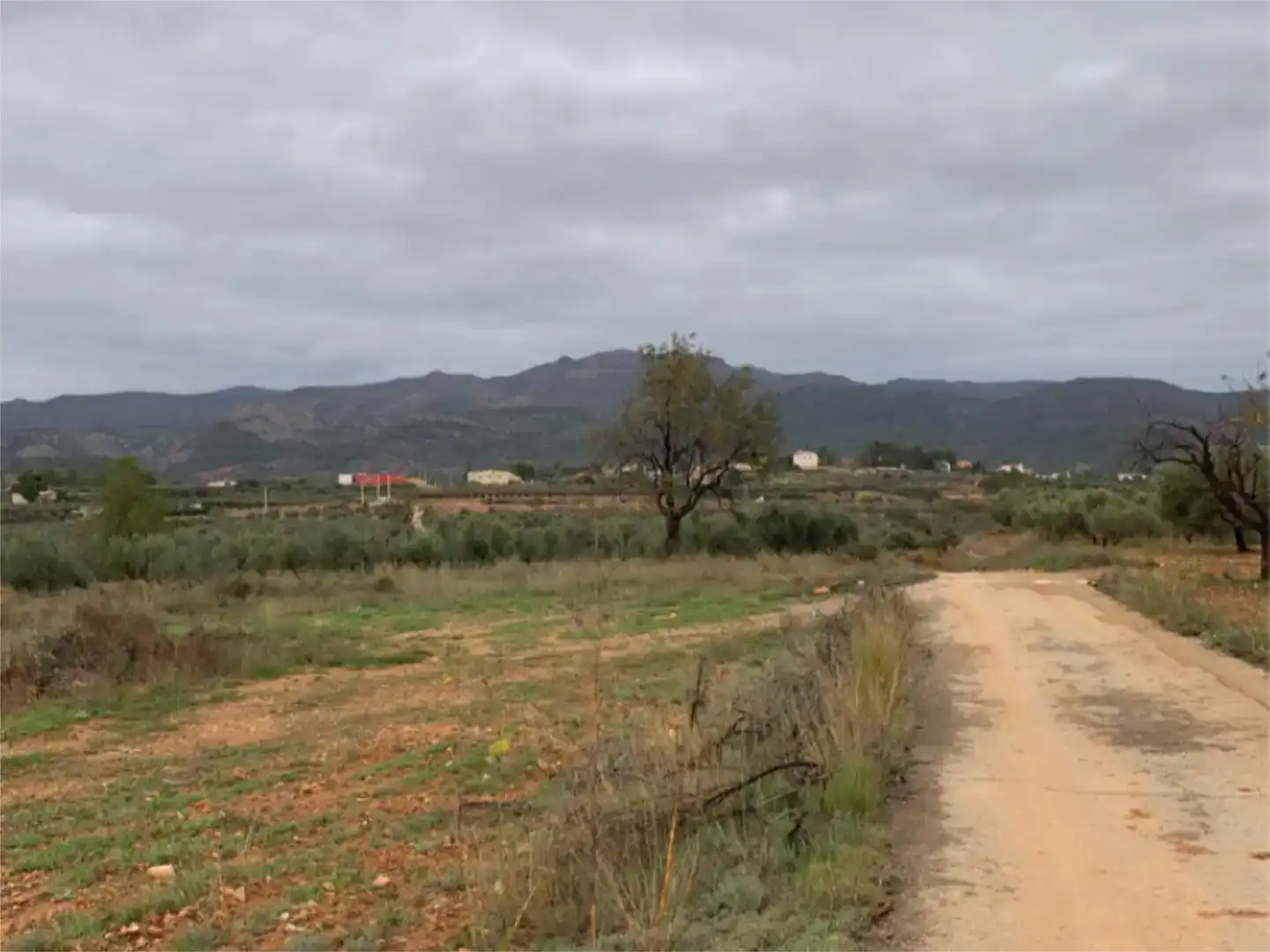 Finca rústica en venta en Calles
