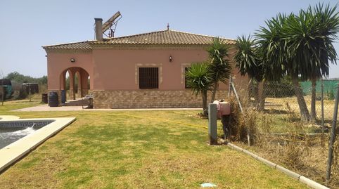 Foto 4 de Finca rústica en venta en Carretera Don Rodrigo, 4, Pedanías Norte, Utrera
