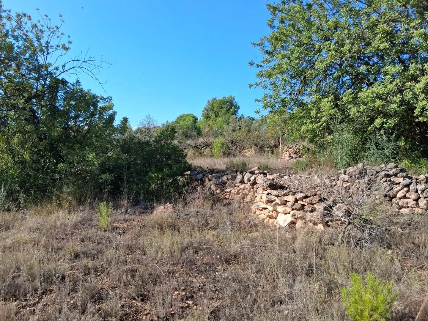 Wohnbaugrundstück zum Verkauf in L'Alcora, imagen 13