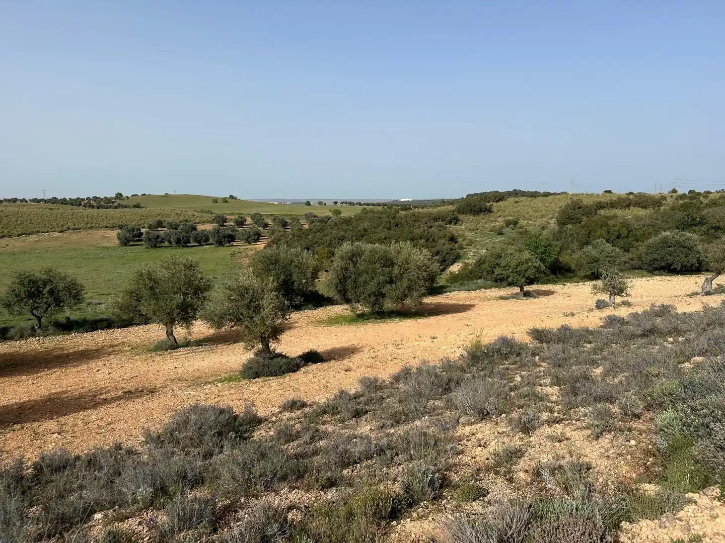 Terreno en venta en Morata de Tajuña