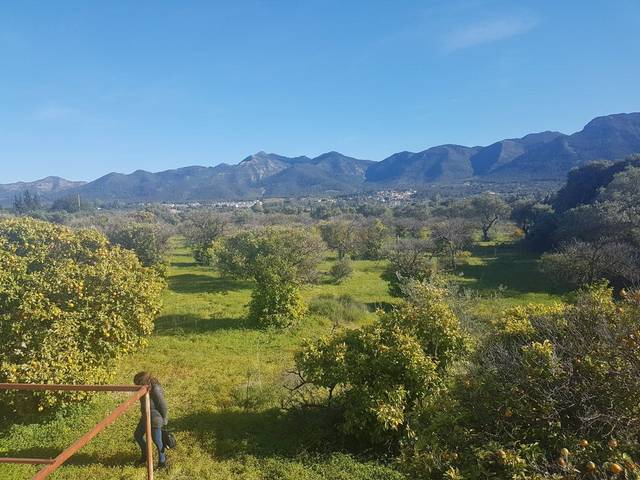 Finca rústica en Venta en Centro