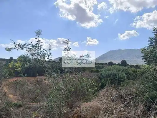 Terreny rústic en venda a Vallés, imagen 4