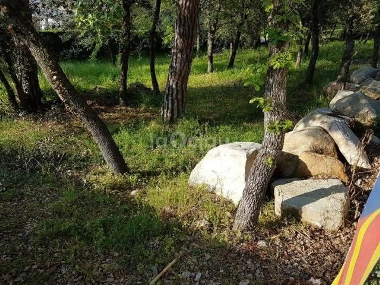 Terrain rustique à vendre à Seva, imagen 5