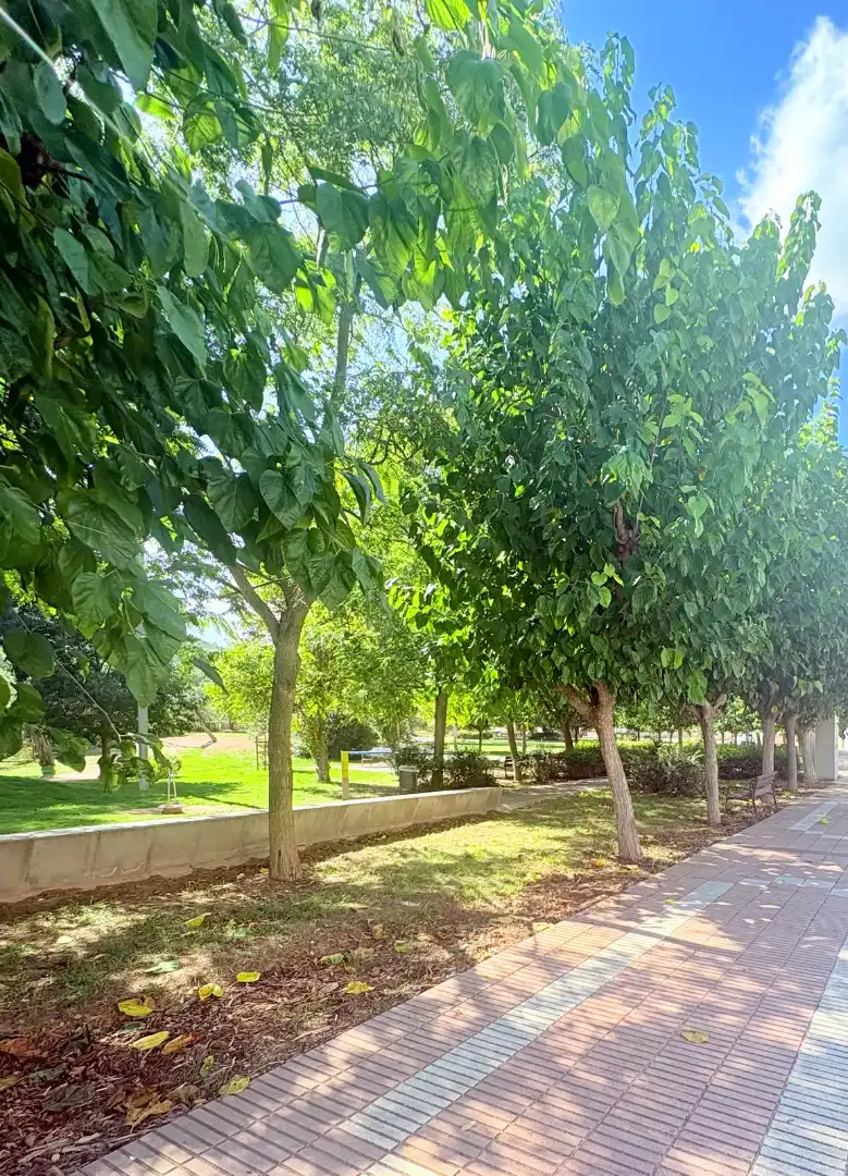 Adossat amb terrassa en venda a Carrer la Pau, imagen 11