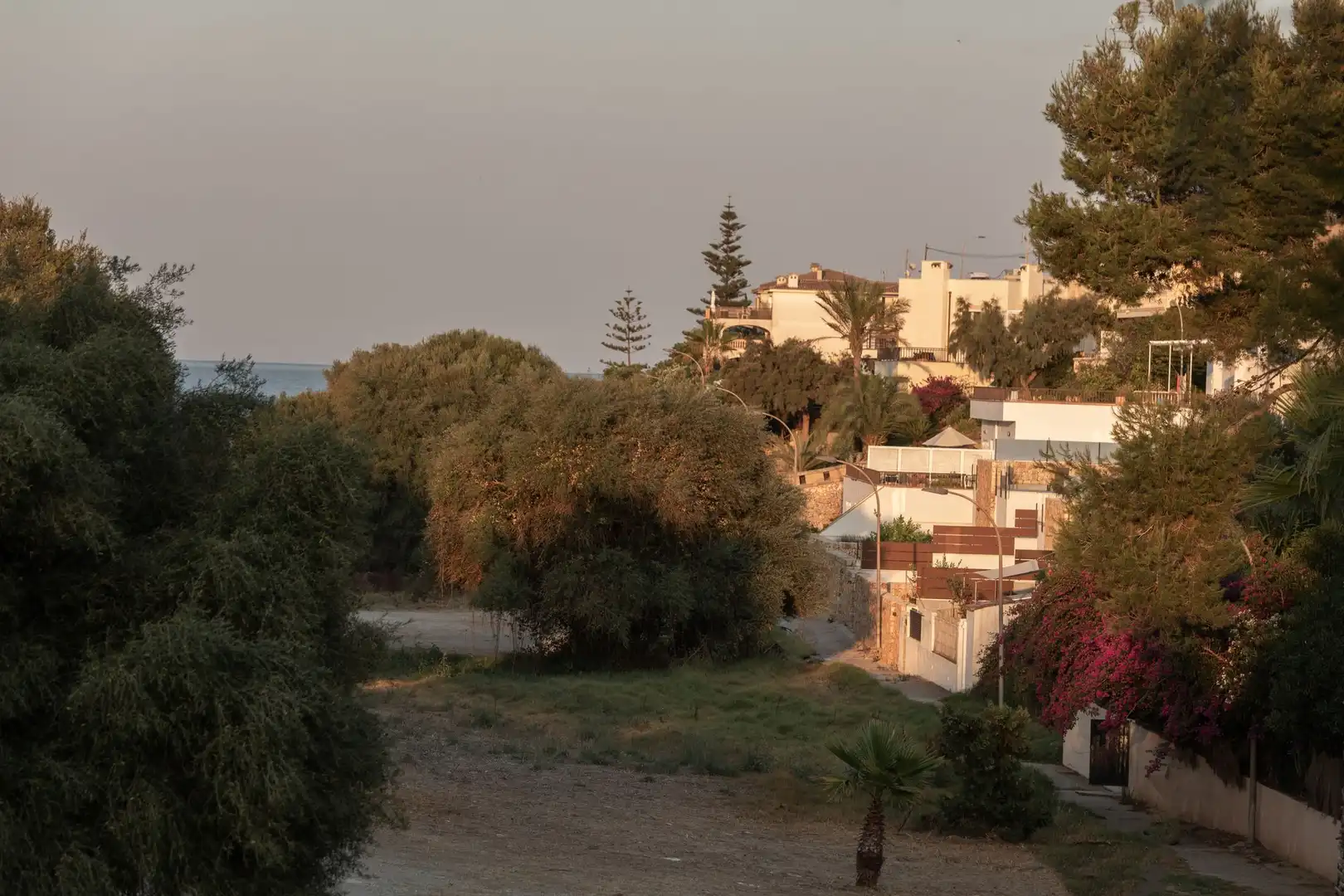 Vista exterior de Residencial en venta en Manacor