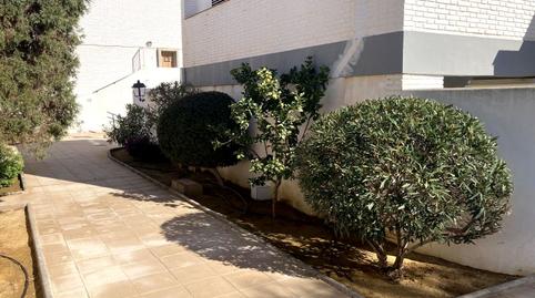 Photo 4 of Apartments for rent in La Laguna, Puerto Rey, Vera