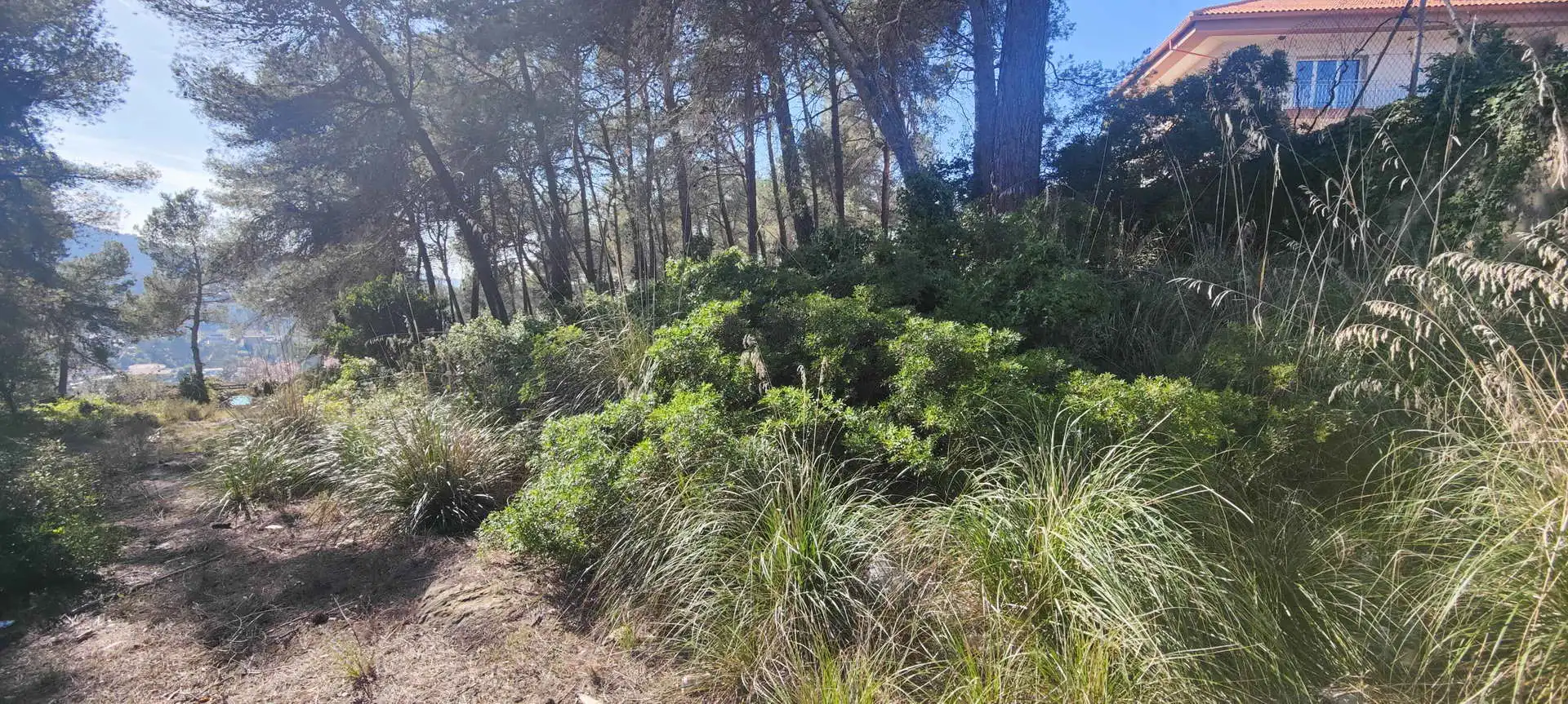 Terreny residencial en venda a Olesa de Bonesvalls, imagen 6