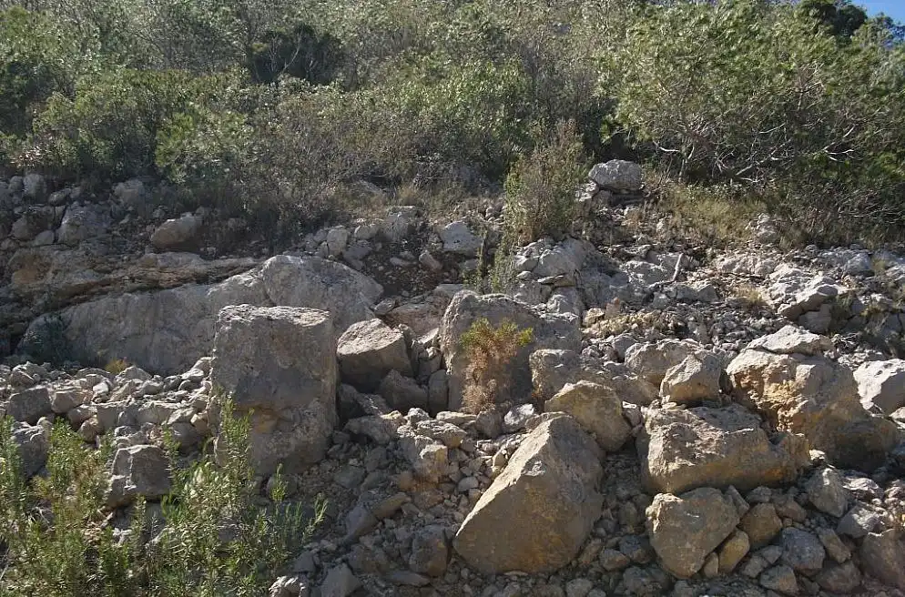 Terreno rústico en venta en Alcossebre, imagen 11