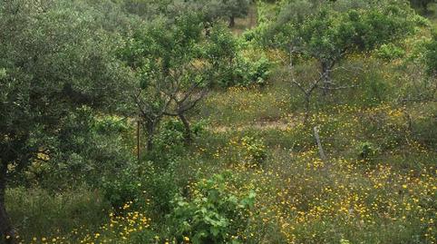 Photo 5 of House or chalet for sale in Miralvalle - Av. Virgen del Puerto - La Data, Plasencia