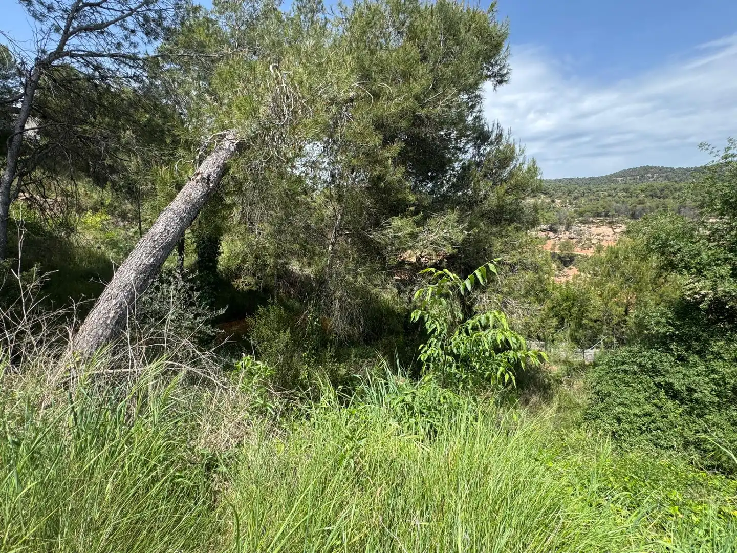 Residential land for sale in La Pobla de Claramunt, imagen 4