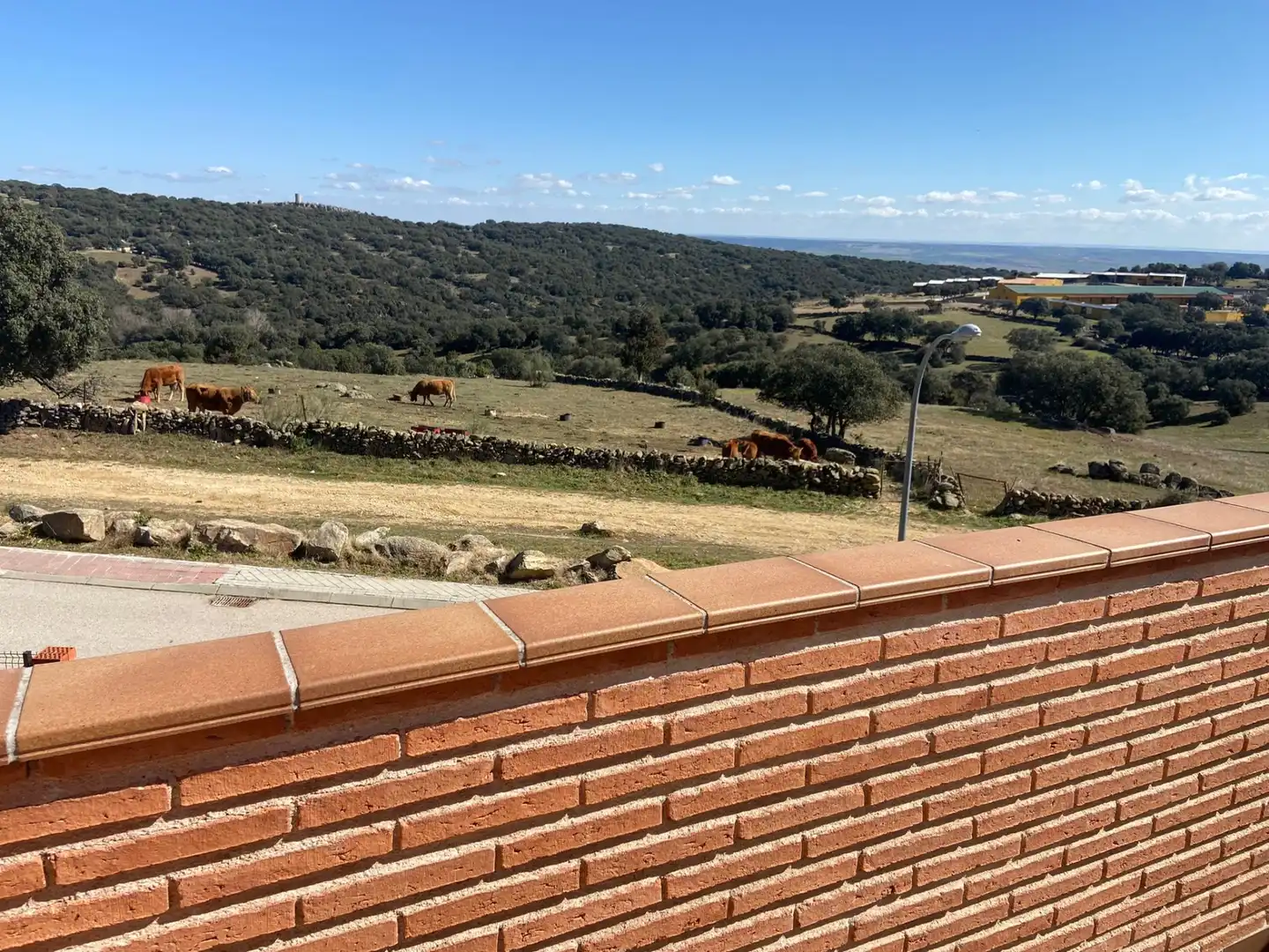 Vista exterior de Casa adosada en venta en El Vellón con Calefacción, Jardín privado y Terraza