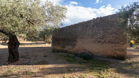 Finca rústica con casa de aperos, pozo propio y balsa de agua, immagine 5