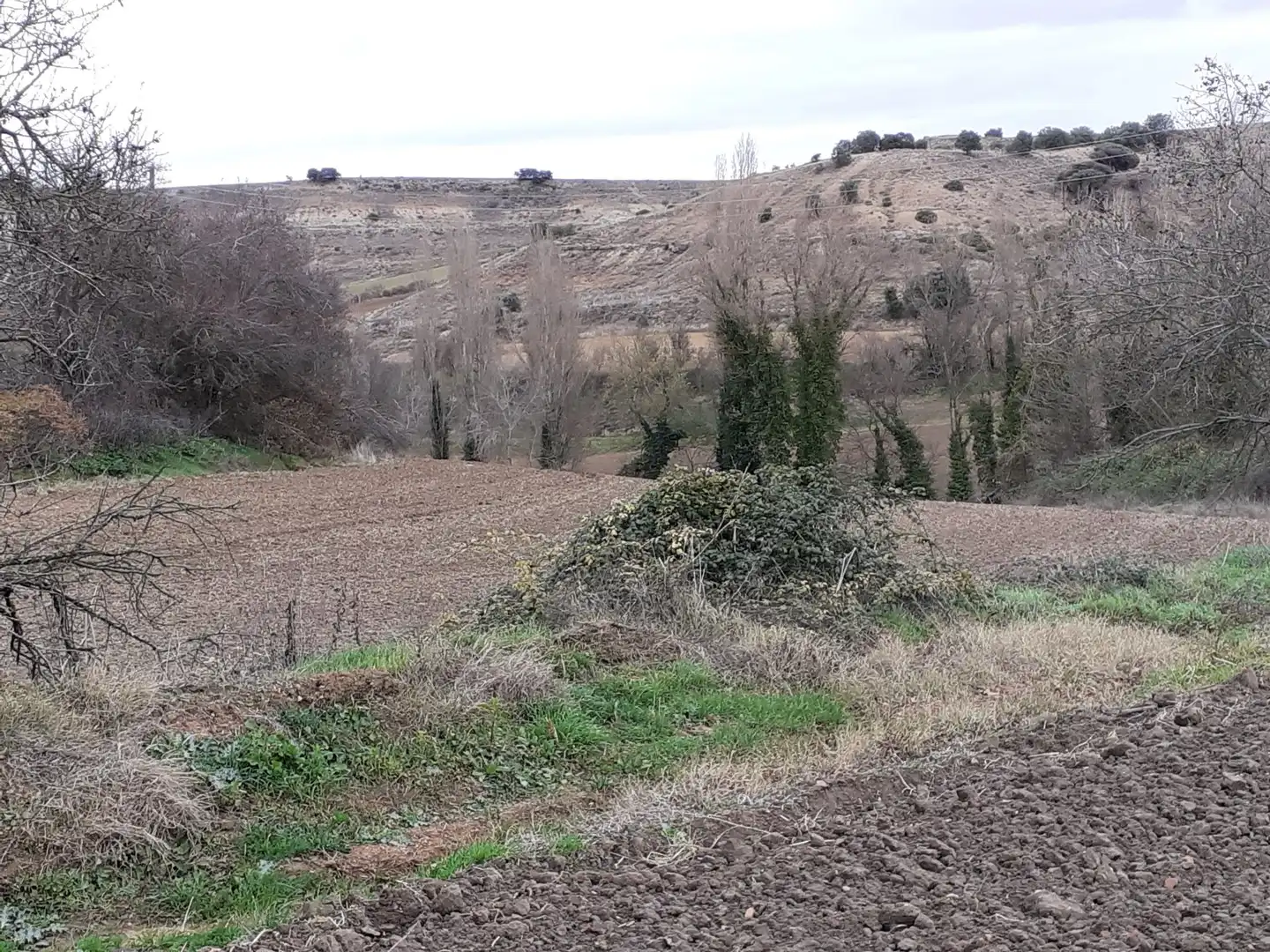 Terreni e lotti in vendita a Corrales del Vino, imagen 6