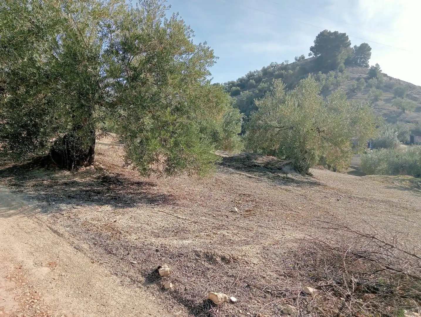 Terreni e lotti in vendita a Puente Jontoya - Puente de la Sierra - El Arroyo, imagen 3