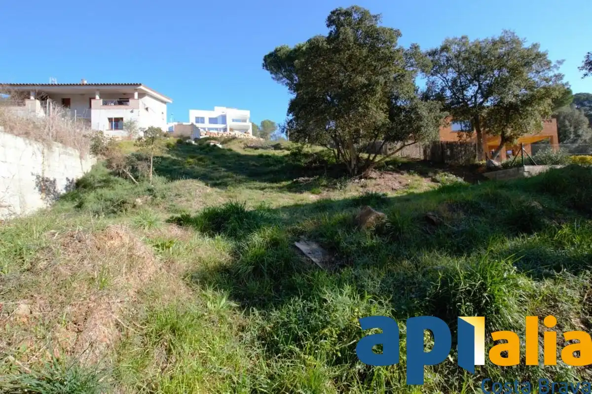 Residential land for sale in Carrer Avet 26, imagen 5