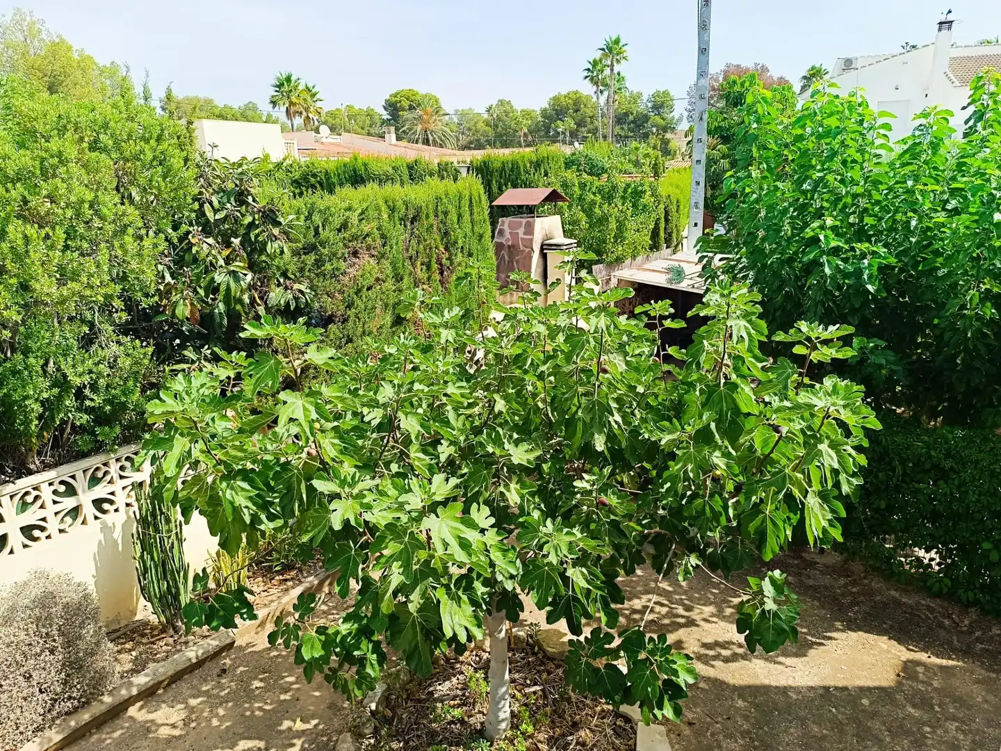 Jardí de Casa o xalet en venda en La Nucia amb Jardí privat i Piscina comunitària