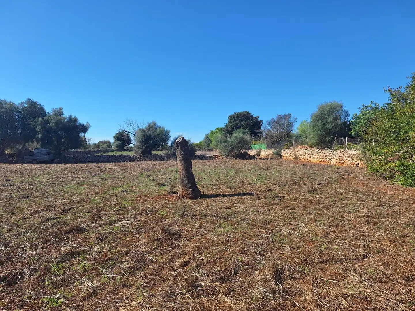 Country homes for sale in Costitx