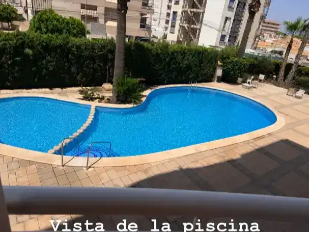Schwimmbecken von Wohnungen zur Miete in Torrevieja mit Klimaanlage, Schwimmbad und Balkon