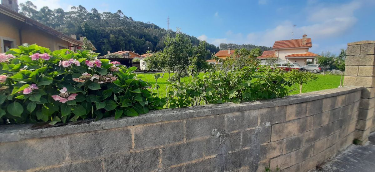 Jardí de Residencial en venda en Bárcena de Cicero