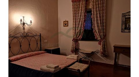 Finca, 2 casas, piscina y nave., imatge 3